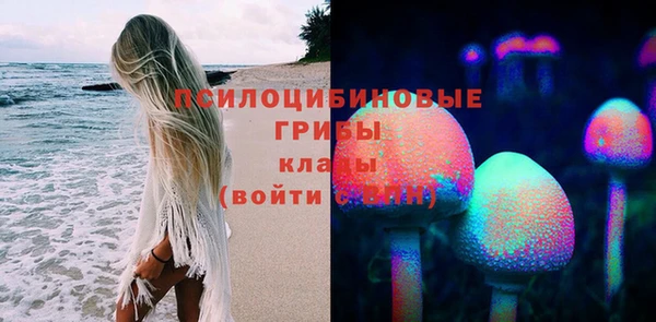 метадон Белокуриха