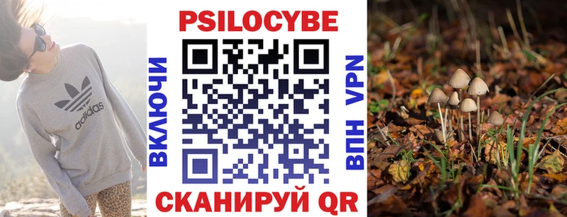 Псилоцибиновые грибы Psilocybine cubensis  что такое наркотик  Велиж 